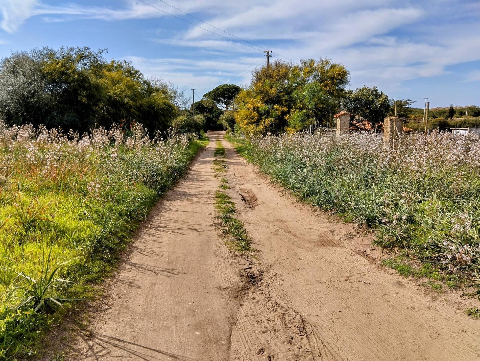 דירות ואלדוריה Terra מראה חיצוני תמונה